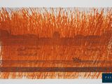 an orange piece of paper with a line of grass on it