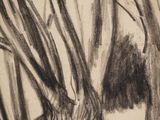 a drawing of a tree in the woods with no leaves on it