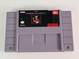 an image of a nintendo game cartridge with a picture of a woman on it