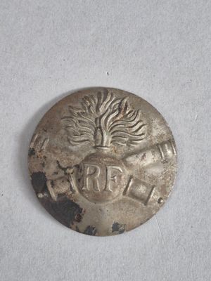 une pièce d'argent sur laquelle est représenté un arbre, sur un fond blanc
