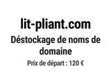 Photo 1/1 du lot