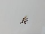 an image of a close up of a white plate with a brown design on it