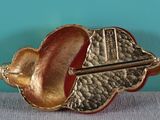 an image of a gold and red broochle with a leaf on it
