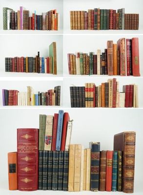 de nombreux livres qui se trouvent sur les étagères de la pièce