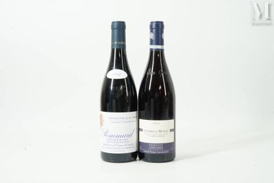 deux bouteilles de vin posées l'une à côté de l'autre sur une table