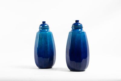 une paire de salières et poivrières en verre bleu sur fond blanc