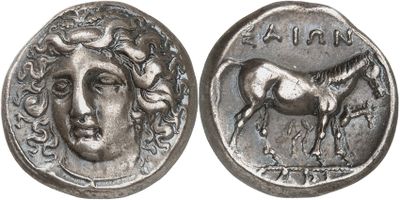 a close up of a coin with a horse on it