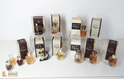 Plusieurs flacons de parfum sont alignés sur une surface blanche