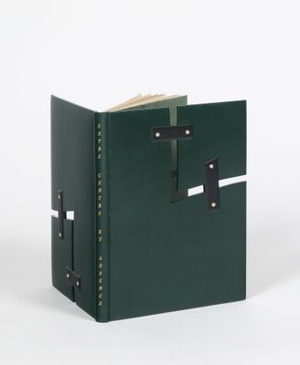 livre en cuir vert avec des fermoirs métalliques sur fond blanc