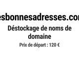 Photo 1/1 du lot