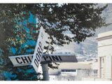 deux panneaux de signalisation fixés à un poteau près d'un arbre