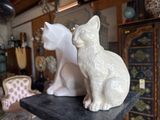 a white cat sitting on top of a table next to a white cat