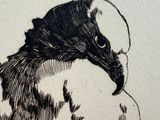 a drawing of a bird that is sitting on a table