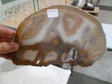 a person holding a piece of rock with a tag on it