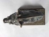 statue of a dolphin on a marble block on a white background