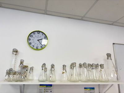une horloge accrochée au mur au-dessus d'une étagère sur laquelle sont posés des verres