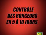 Photo 3/4 du lot