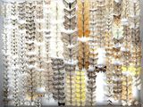 many different types of butterflies displayed in a white box