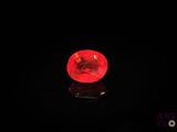 l'image d'une pomme rouge lumineuse posée sur une surface noire