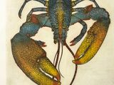 painting of a lobster on a white background with blue and yellow colors