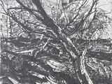 dessin représentant une image en noir et blanc d'un arbre avec un bateau au premier plan