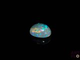 an oplite in the dark with a black background