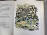 un livre ouvert sur lequel figure l'image d'une grenouille dans l'eau