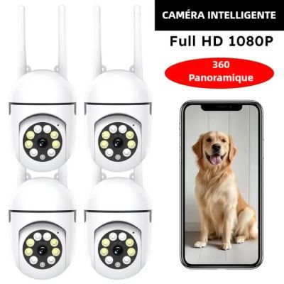 caméra intelligente Full HD 108p panoramique