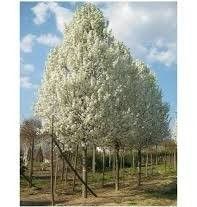 Destockage & Invendus