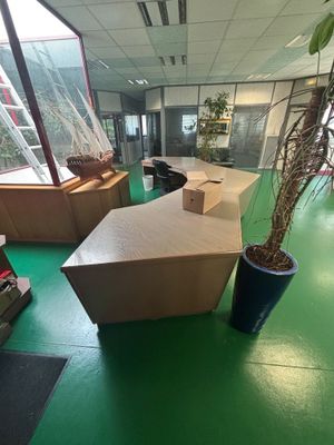 une plante qui se trouve dans une boîte posée par terre