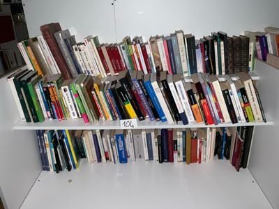 beaucoup de livres sur les étagères de la pièce
