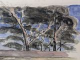 a drawing of a group of trees in a field