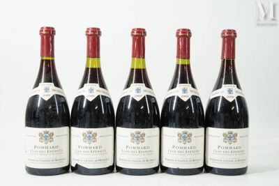 six bouteilles de vin sont alignées sur une surface blanche