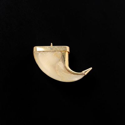 a close up of a gold plated metal object on a black background