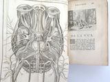 an old book with a drawing of a human head