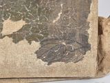 an old picture of a map on the back of a bag