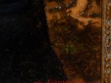 an oil painting of a woman in a black dress holding a flower