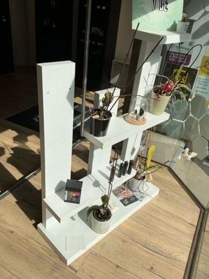 a display of various items on a shelf in a store
