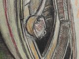 drawing of a person in a car looking out of the window