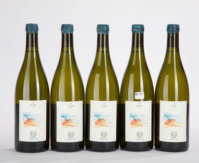 six bouteilles de vin sont alignées sur une surface blanche