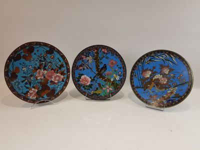 trois assiettes ornées de fleurs et d'oiseaux, posées sur une surface blanche