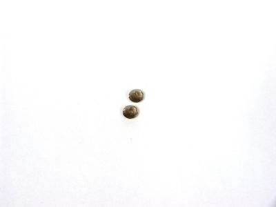Quartz fumé 2 pierres rondes pour 1 ct