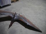 a large bird that is laying on the ground