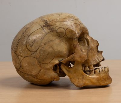 an old human skull sitting on top of a wooden table