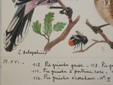 a drawing of two birds on a tree branch