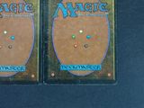 pair of magic the gathering deck protectors
