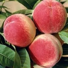 Destockage & Invendus