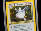 La carte Pokémon se trouve dans un étui en plastique transparent sur fond noir.