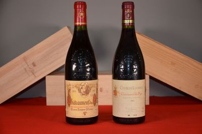 deux bouteilles de vin posées l'une à côté de l'autre sur une table