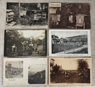 plusieurs vieilles photographies en noir et blanc représentant des personnes et des animaux dans un champ